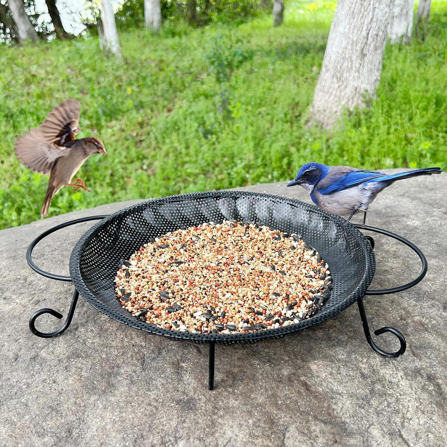 Large Black Stainless Steel Ground Bird Feeder Tray with Handles