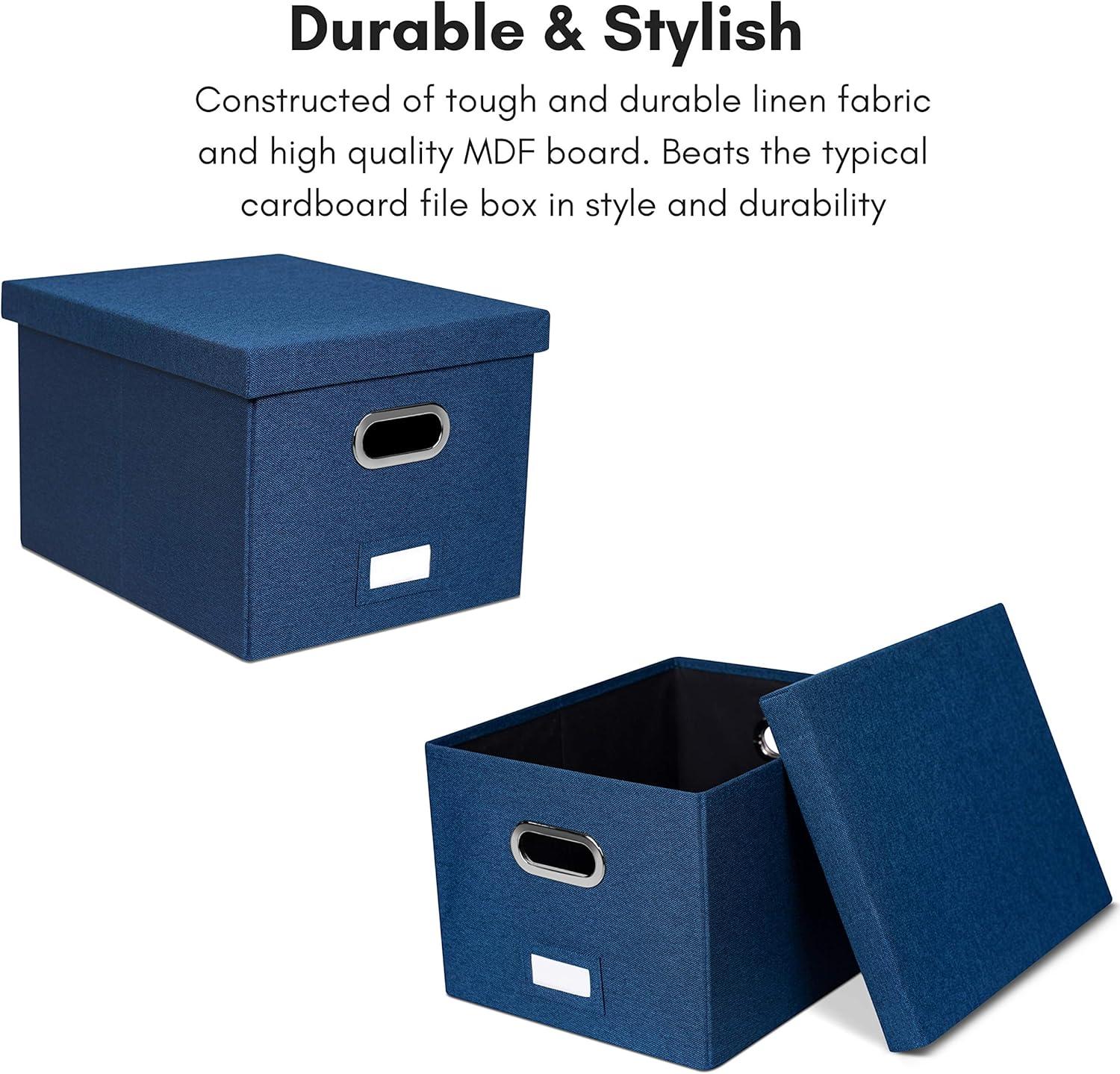 BirdRock Home Internet's Best Collapsible File Storage Fabric Box & Reviews | Wayfair