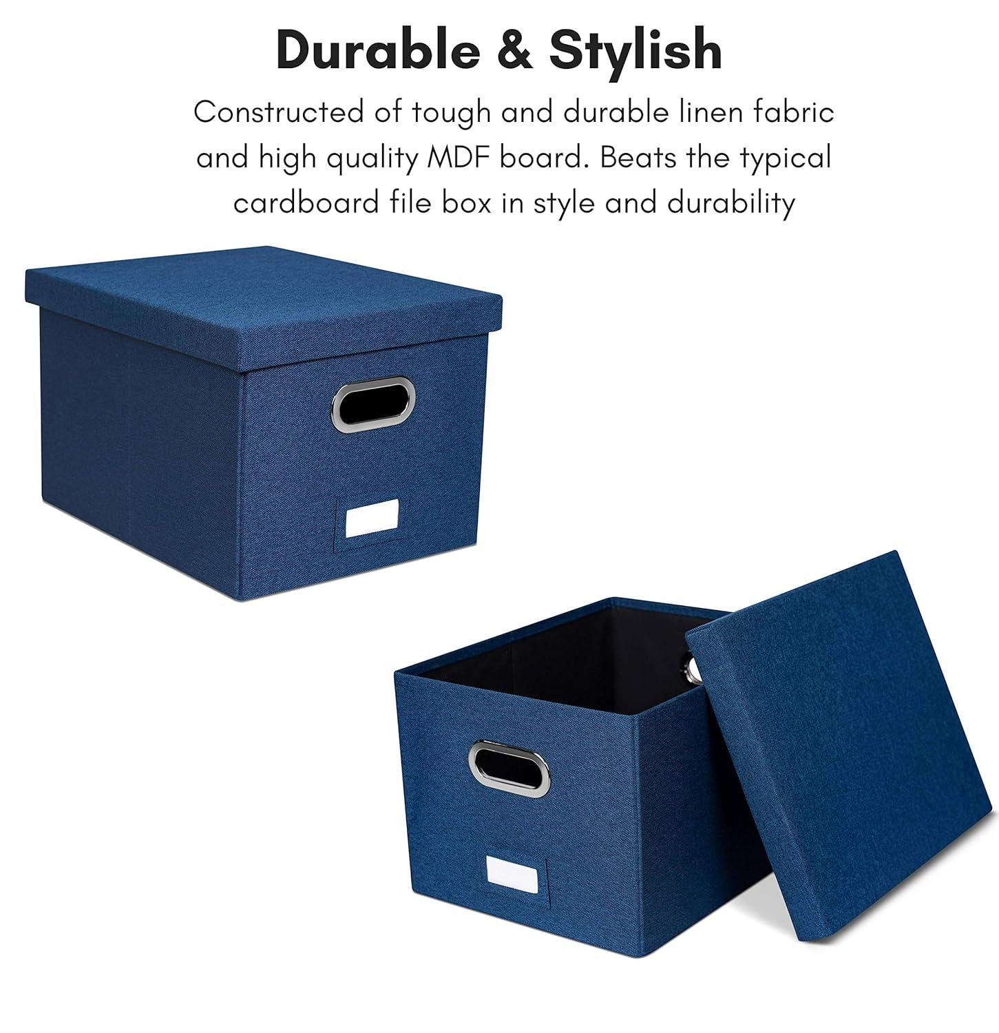 BirdRock Home Internet's Best Collapsible File Storage Fabric Box & Reviews | Wayfair