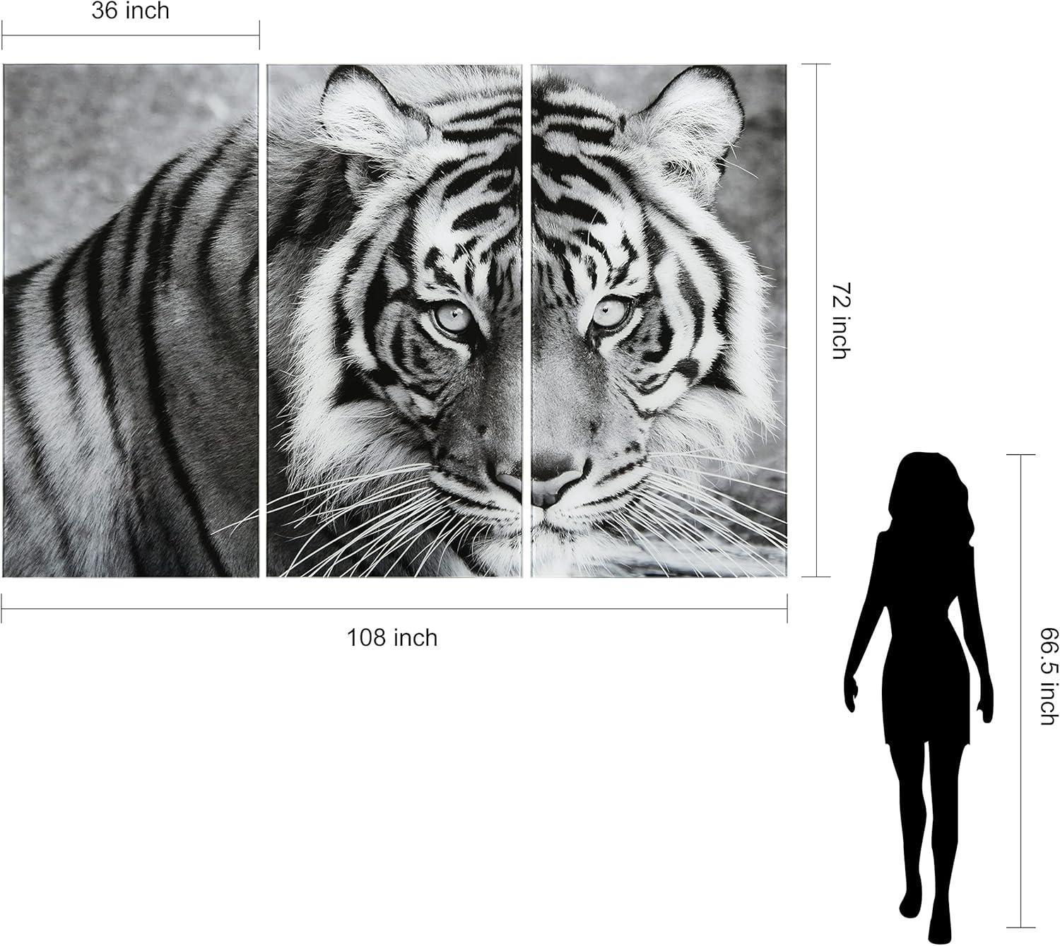 Empire Art Direct " Tiger ABC " 3 - Pieces