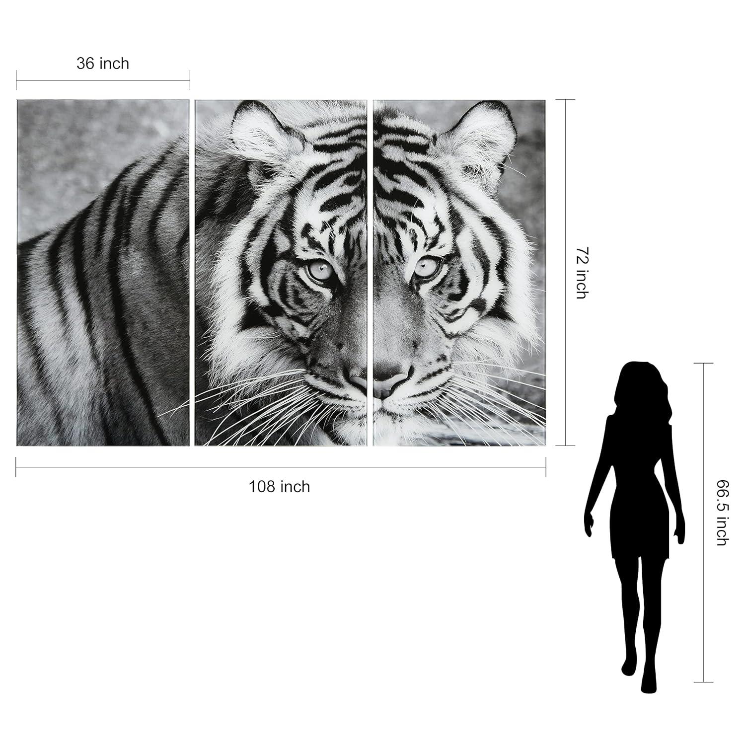 Empire Art Direct " Tiger ABC " 3 - Pieces