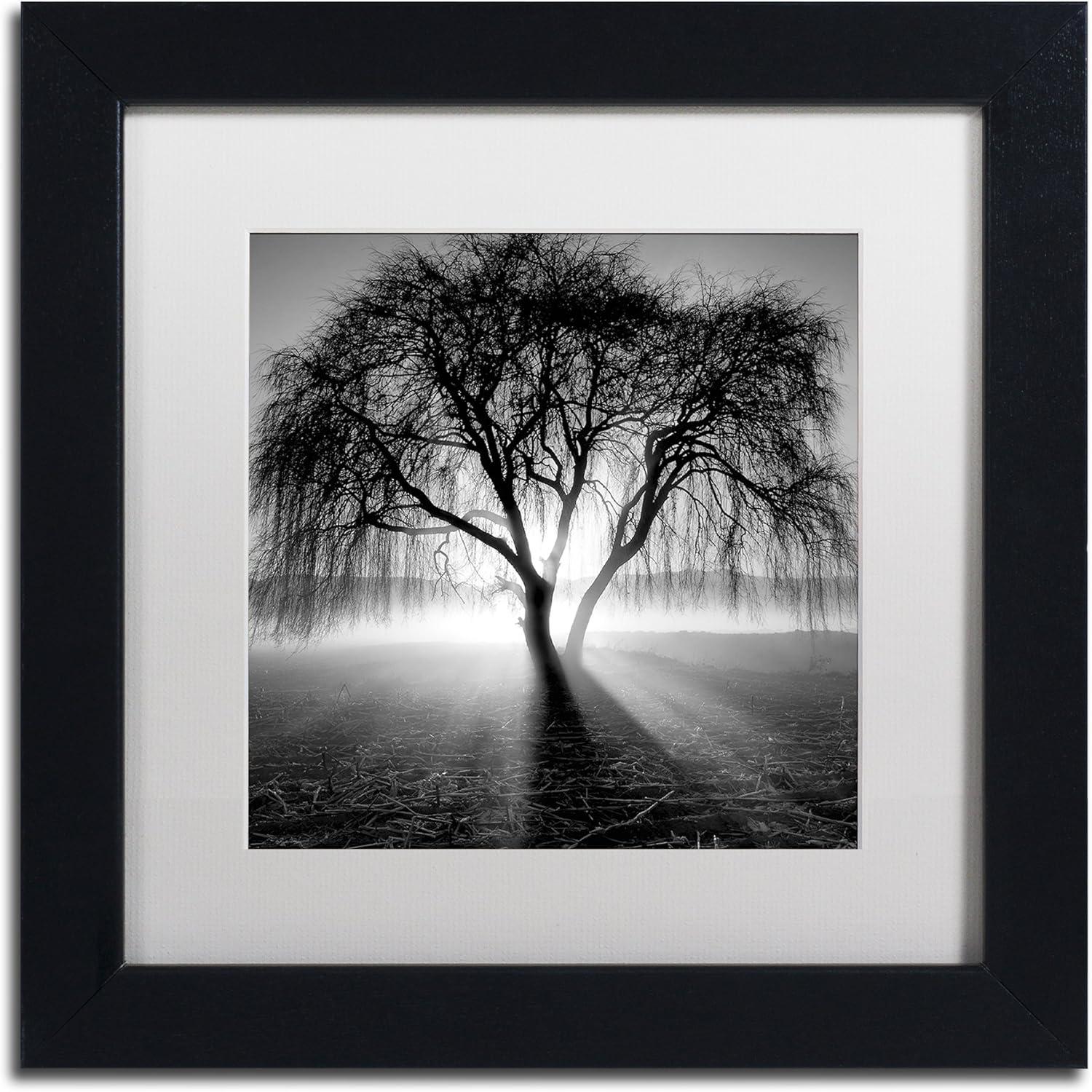 Black Framed Lightning Tree I Scenic Landscape Canvas Print