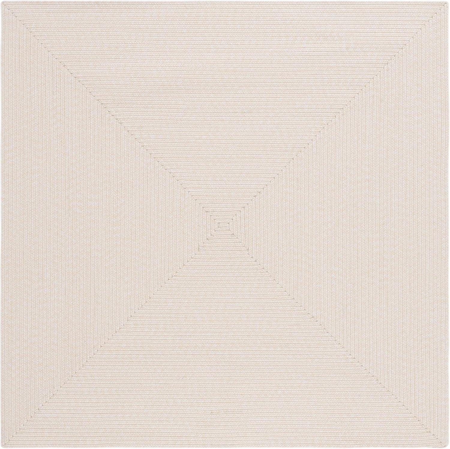 Braided BRD315 Hand Woven Area Rug  - Safavieh