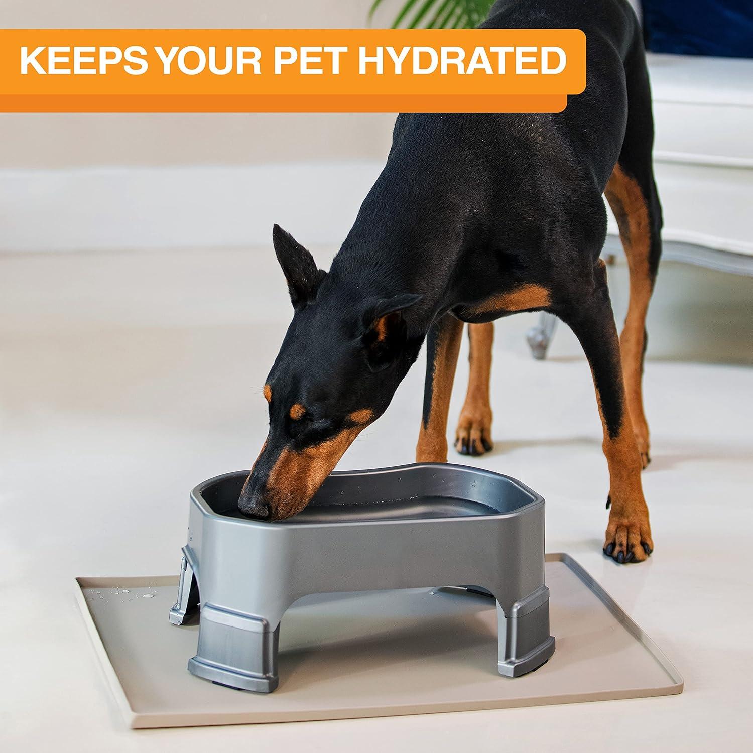 Neater Pets Big Bowl with Leg Extensions for Dogs - Raised for Feeding Comfort - Extra Large Plastic Trough Style Food or Water Bowl for Use Indoors or Outdoors, Gunmetal, 1.25 Gallon (160 Oz.)