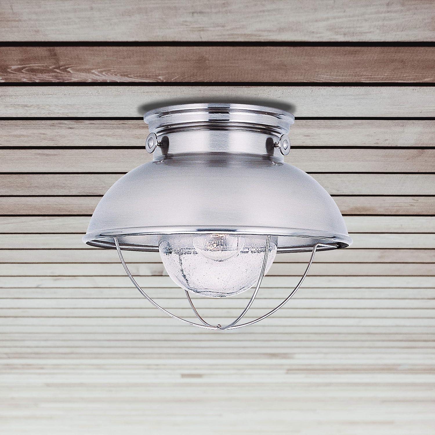 Brushed Stainless and Clear Glass Outdoor Flush Mount Light