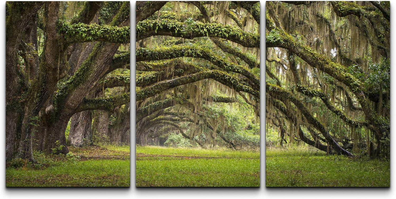 wall26 - 3 Piece Canvas Wall Art - Oaks Avenue Charleston SC Plantation Live Oak Trees Forest Landscape - Modern Home Art Stretched and Framed Ready to Hang - 24"x36"x3 Panels