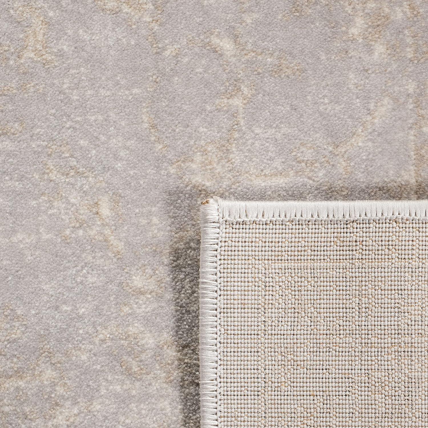 Carnegie CNG621 Power Loomed Area Rug - Light Grey/Cream - 4'x6' - Safavieh.