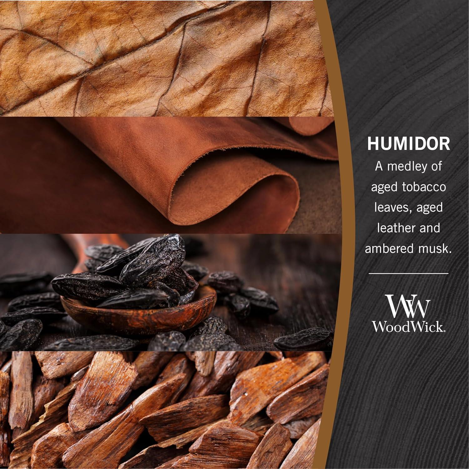 Vela de Reloj de Arena Mediana Humidor WoodWick