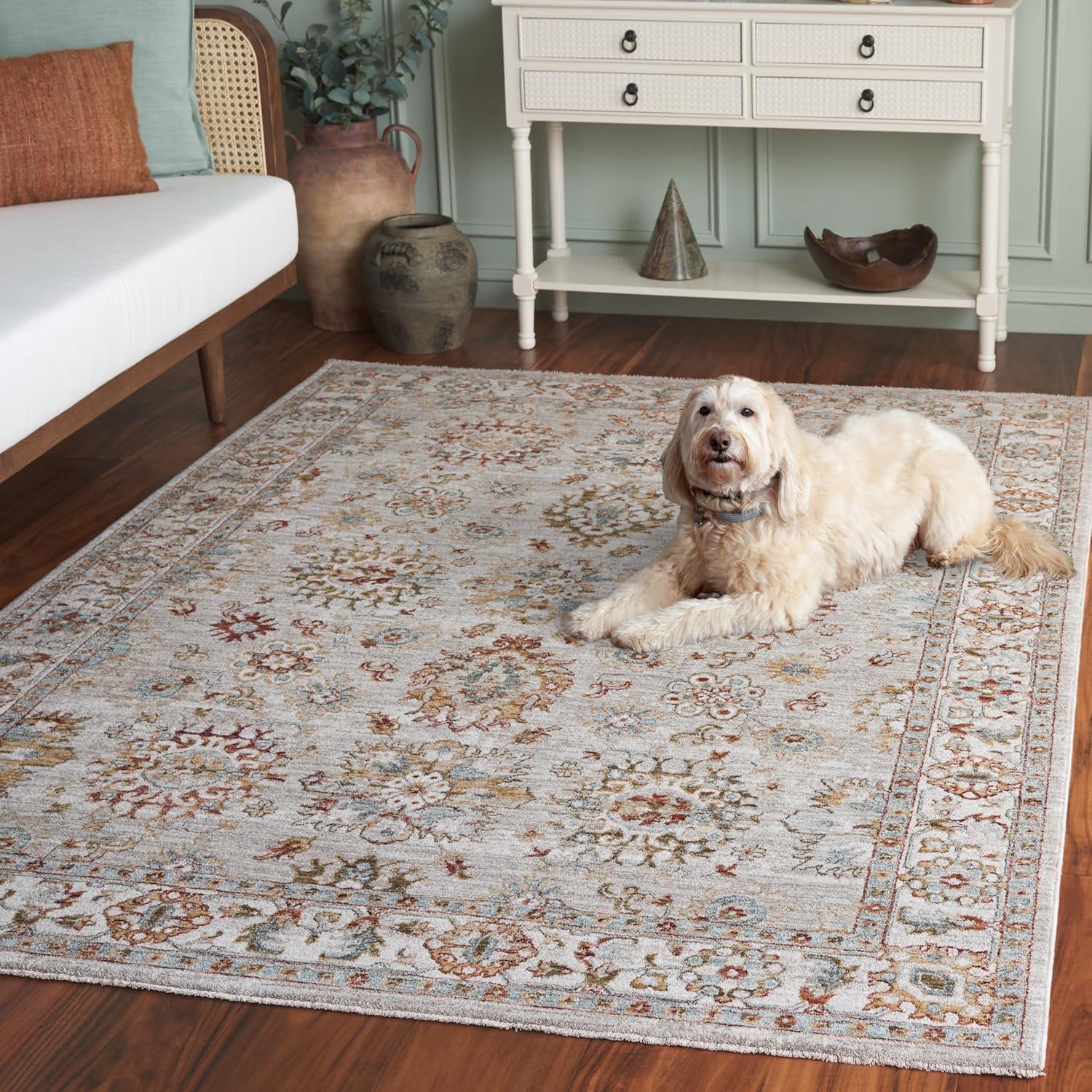 Hamilton HLT112 Power Loomed Area Rug - Gray/Rust - 5'3"x7'6" - Safavieh.