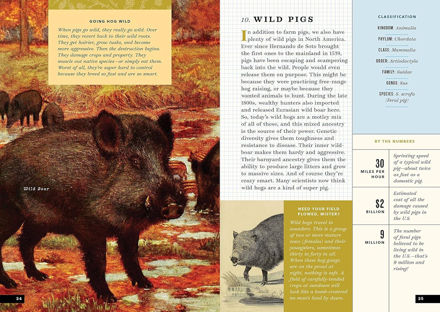 The Little Book of North American Mammals: A Guide for Kids