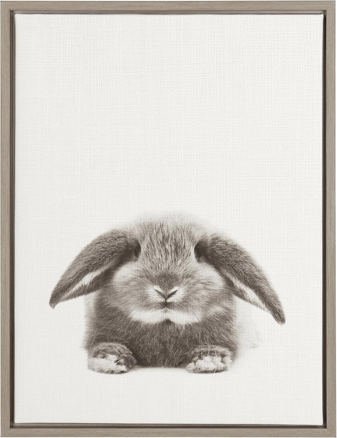 24" x 18" Rabbit Framed Canvas Art - Uniek