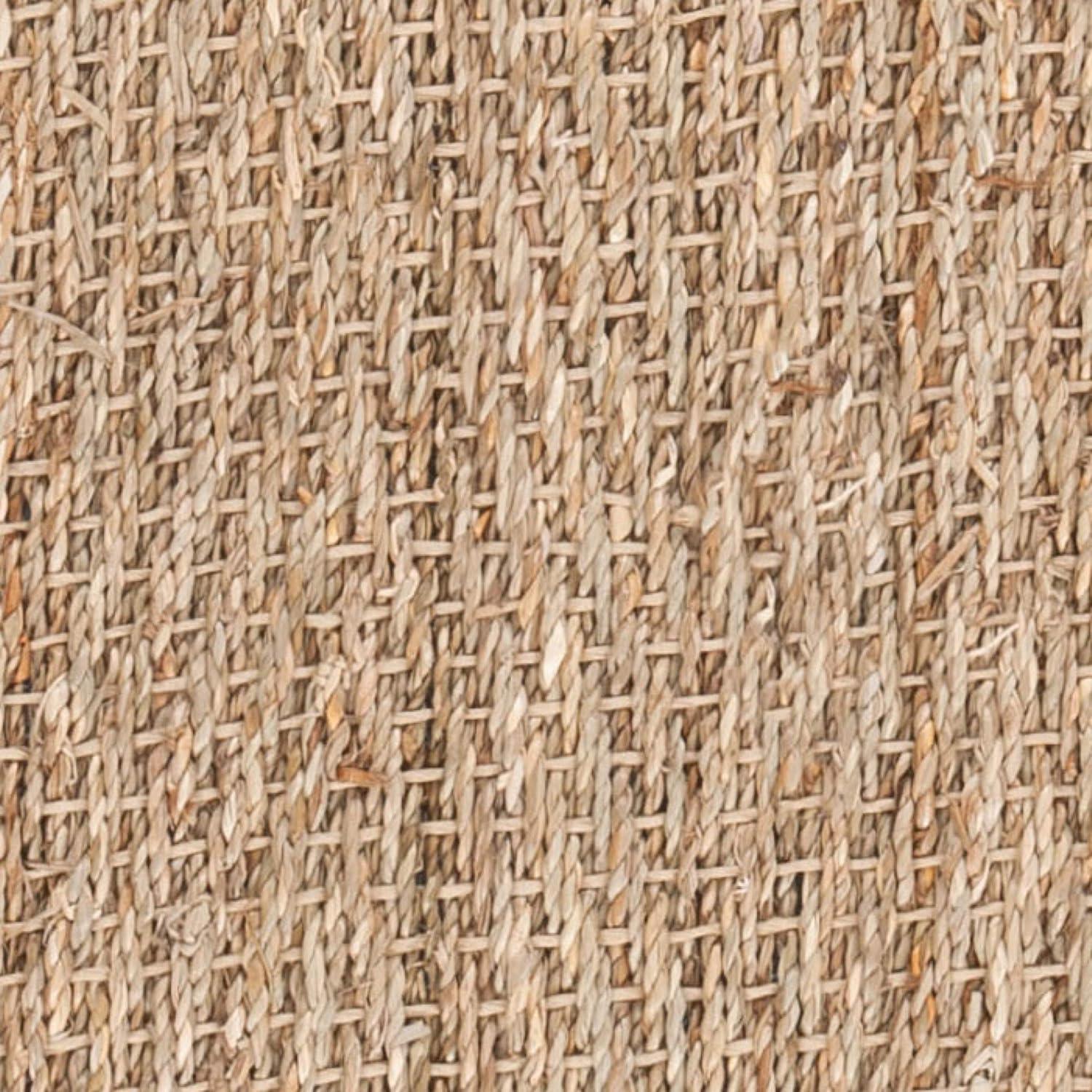 Natural Fiber NF115 Power Loomed Indoor Area Rug - Natural/Dark Brown - 6'x6' - Safavieh
