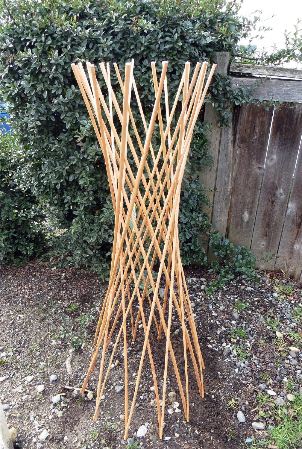 48" Tall Natural Willow Funnel Trellis for Climbing Vines