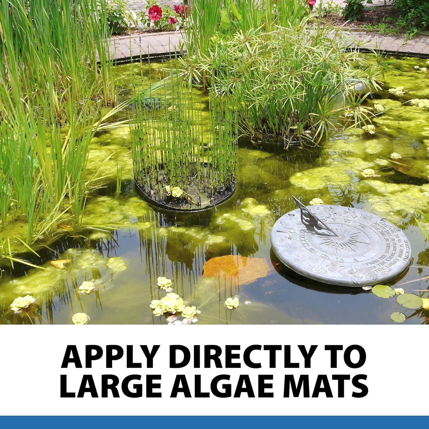 CrystalClear AlgaeOff Pond & Water Garden Scum Cleaner, Waterfall & Rock Slime Remover, String Algae Killer, Green Stain Treatment, EPA Registered Algaecide, Plant, Koi Fish, Bird & Pet Safe, 8 lbs