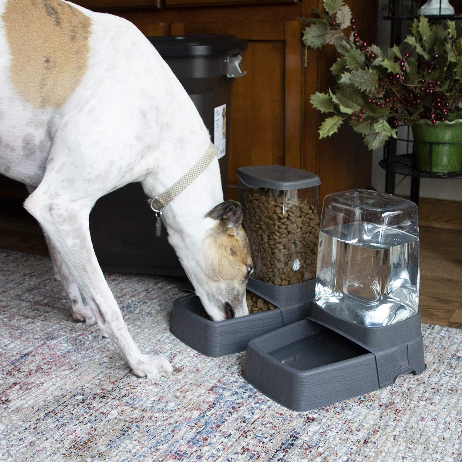 Large Gray Stainless Steel Automatic Pet Feeder and Waterer