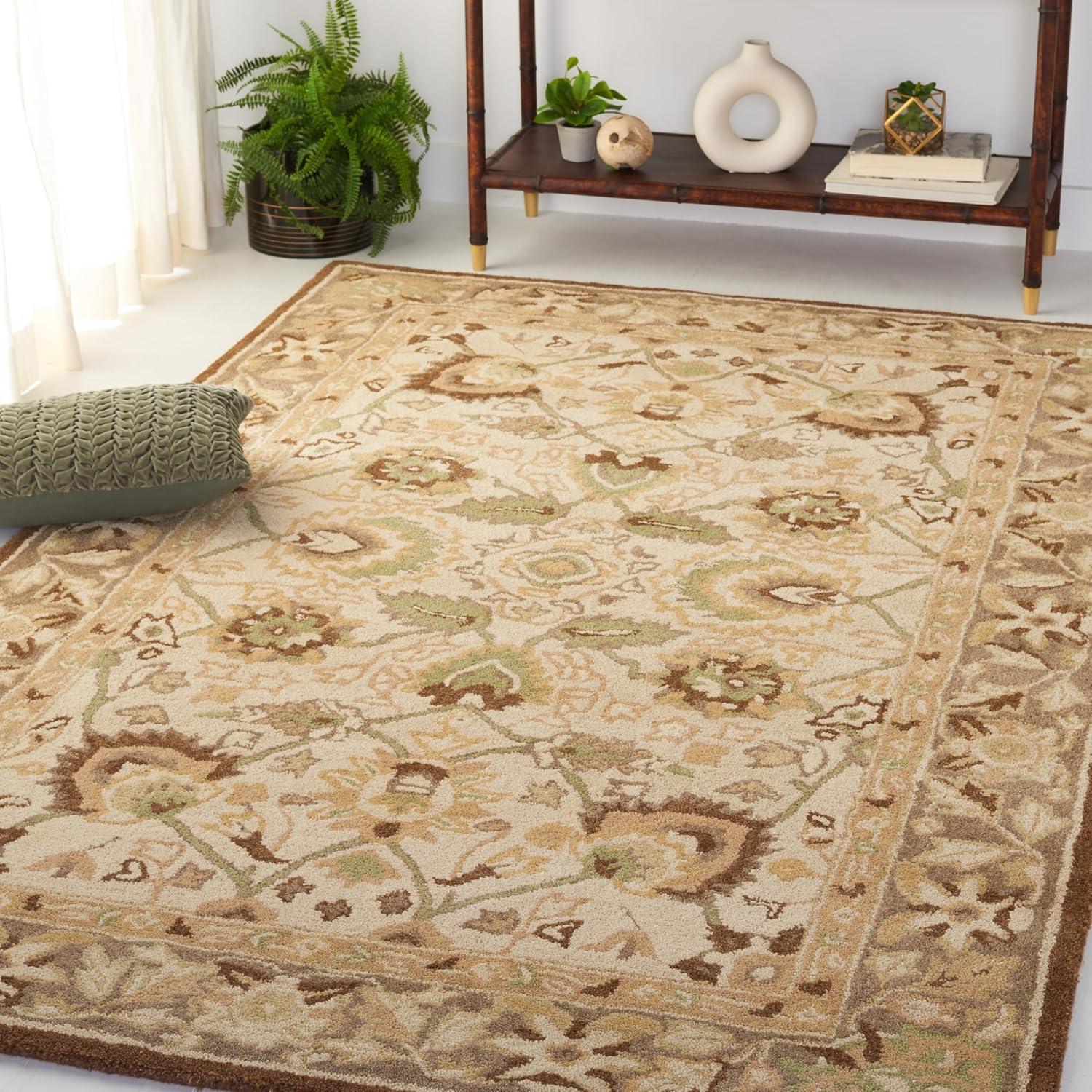 Anatolia AN512 Hand Tufted Indoor Area Rug - Ivory/Brown - 4'x6' - Safavieh