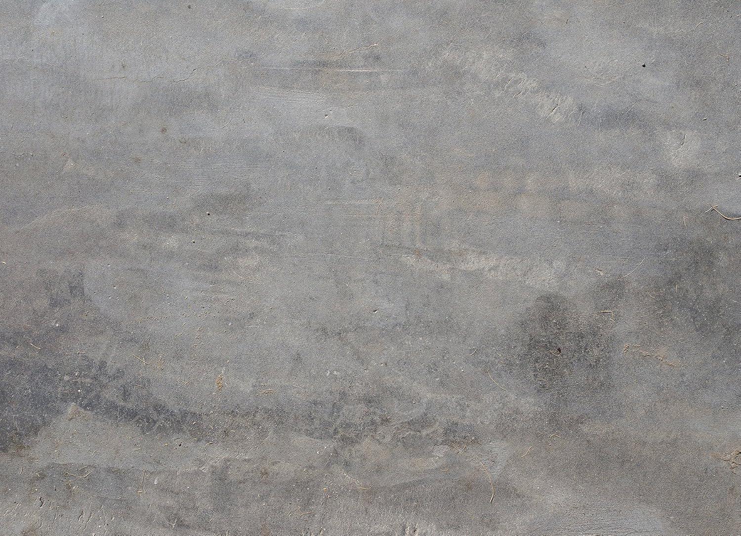 Williston Forge Graphics Non-Wall Damaging Wall Decal