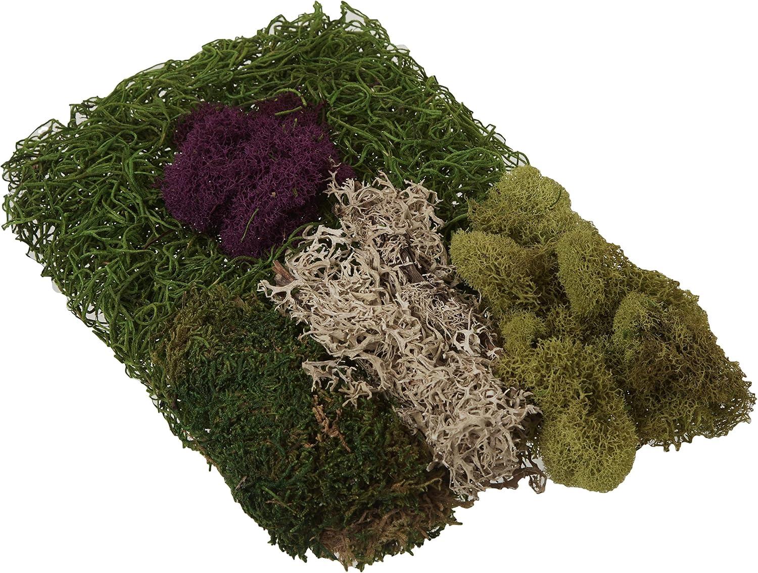 Super Moss SuperMoss Preserved Moss Mix, Mixed Colors, Approx. 2oz | Wayfair