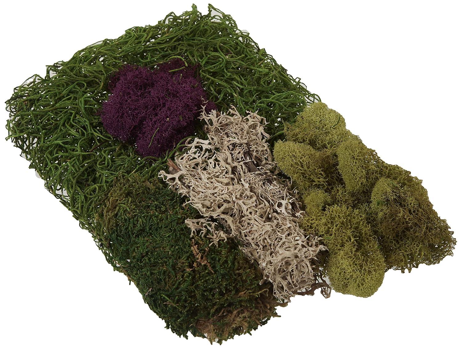 Super Moss SuperMoss Preserved Moss Mix, Mixed Colors, Approx. 2oz | Wayfair