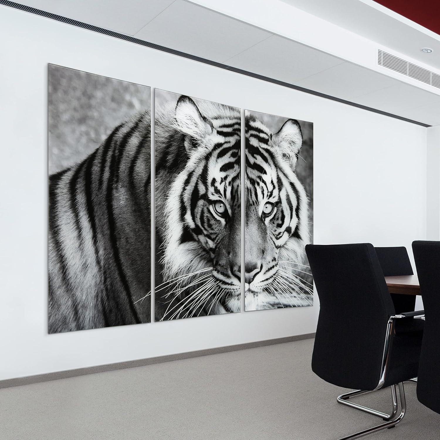 Empire Art Direct " Tiger ABC " 3 - Pieces