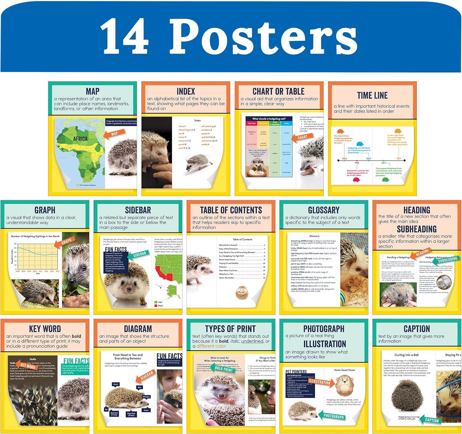 Carson Dellosa Mini Posters: Nonfiction Text Features Poster Set (14 mini posters) Grade 1-6