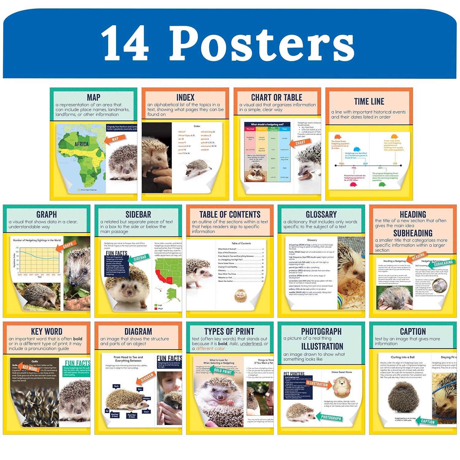 Carson Dellosa Mini Posters: Nonfiction Text Features Poster Set (14 mini posters) Grade 1-6