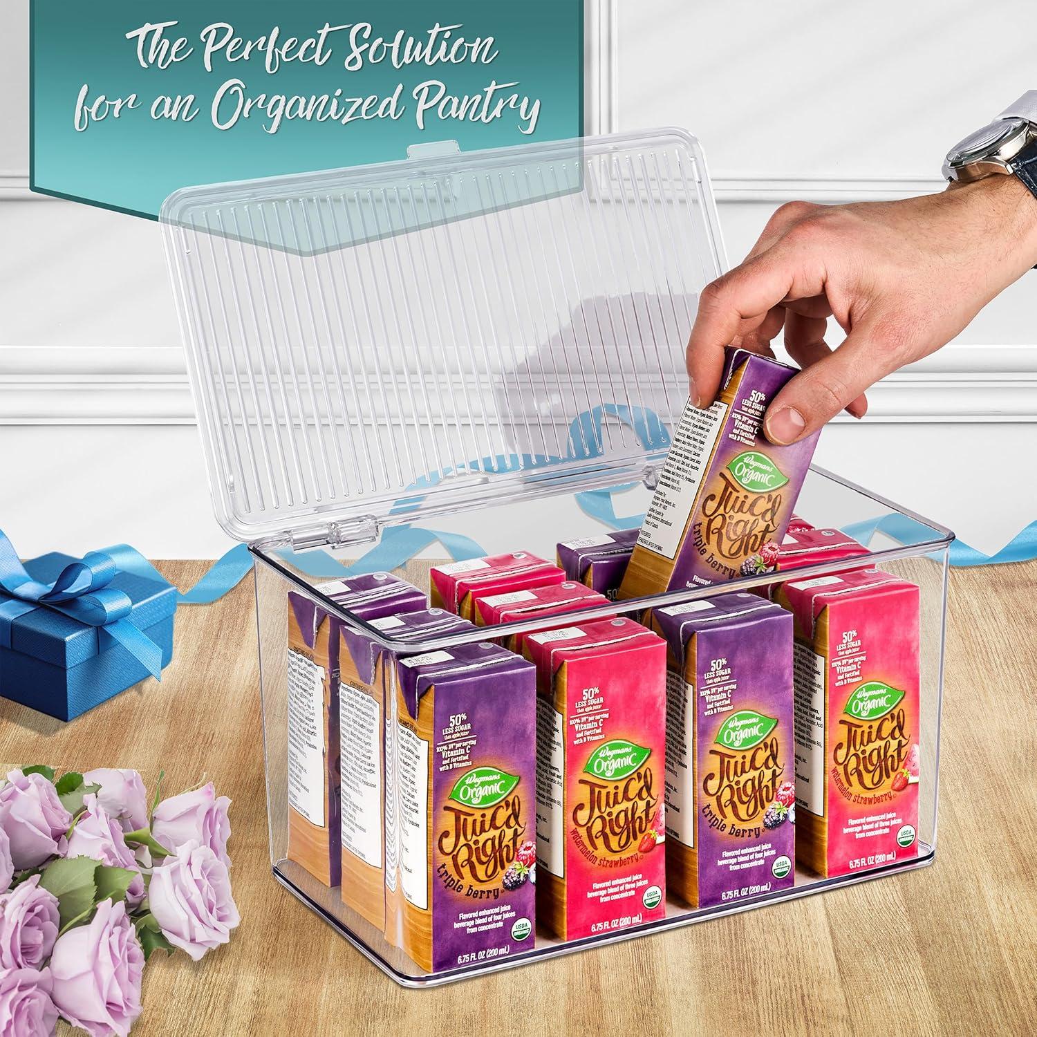 Sorbus Variety Clear Storage Bins For Pantry & Fridge With Hinged Lids, 3 Piece