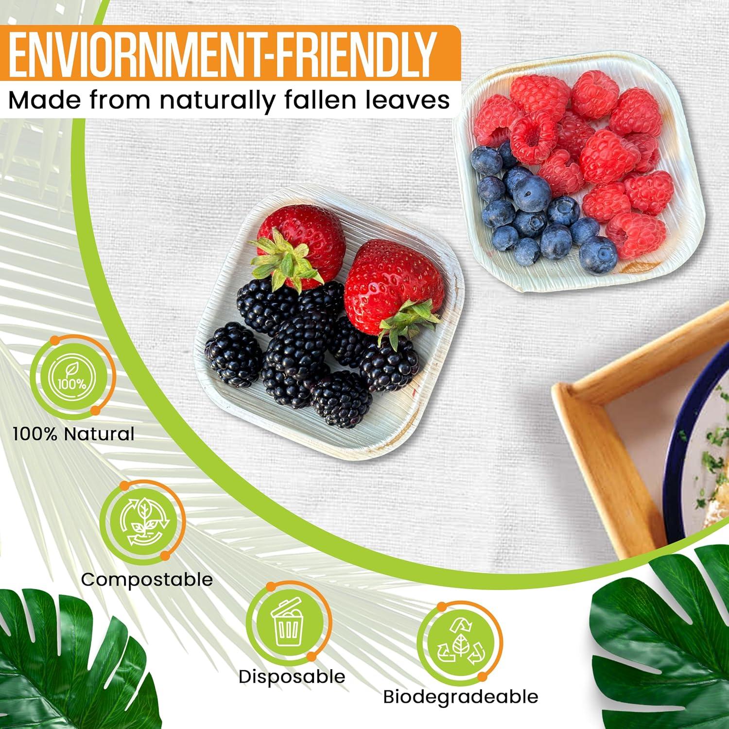 Eco-Friendly Square Bamboo Compostable Plates, 4-Inch, 100-Pack