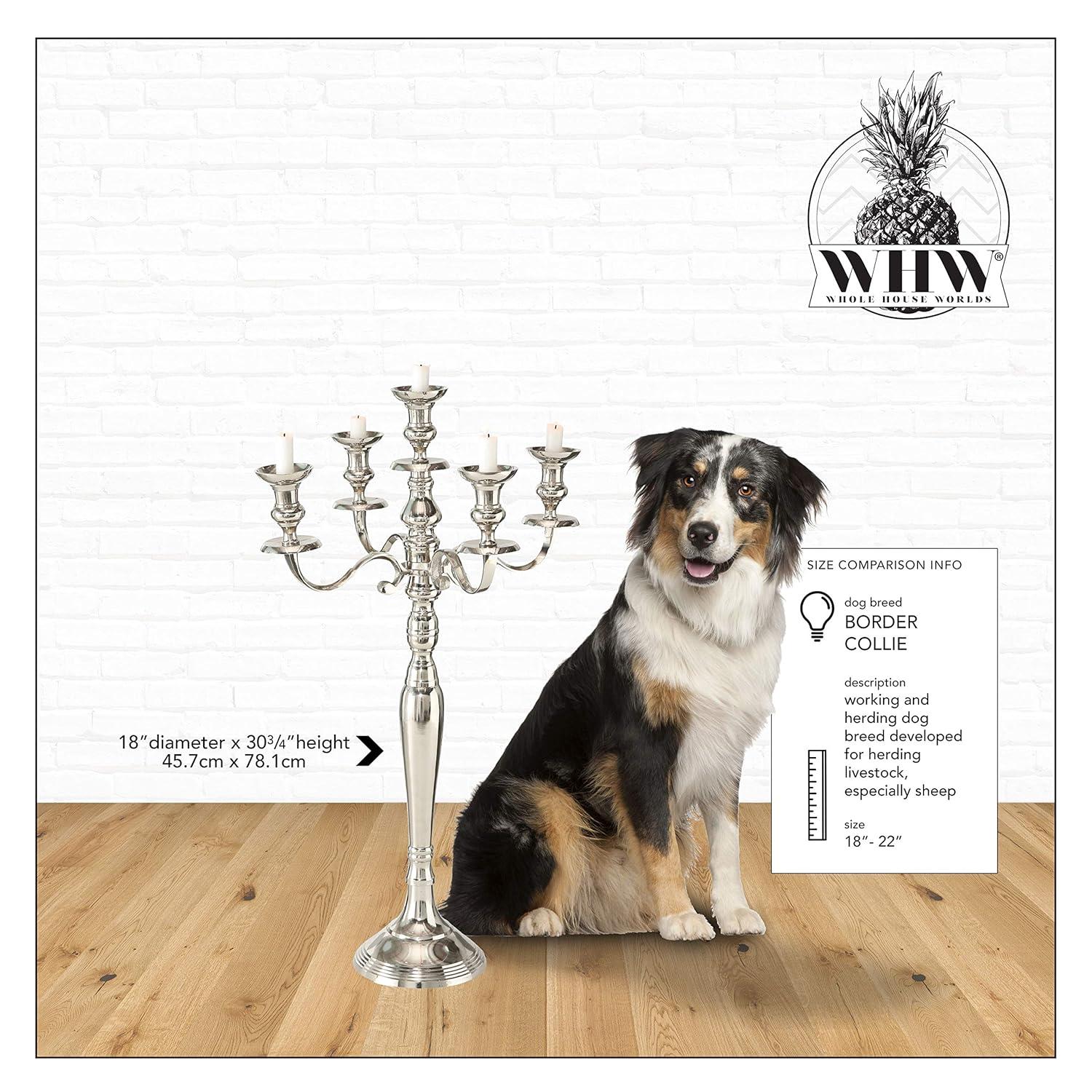 The Hamptons Five Candle Silver Candelabra, Hand Crafted of Silver Aluminum Nickel, 2 1/2 FT High, (30 3/4 Inches)By Whole House Worlds