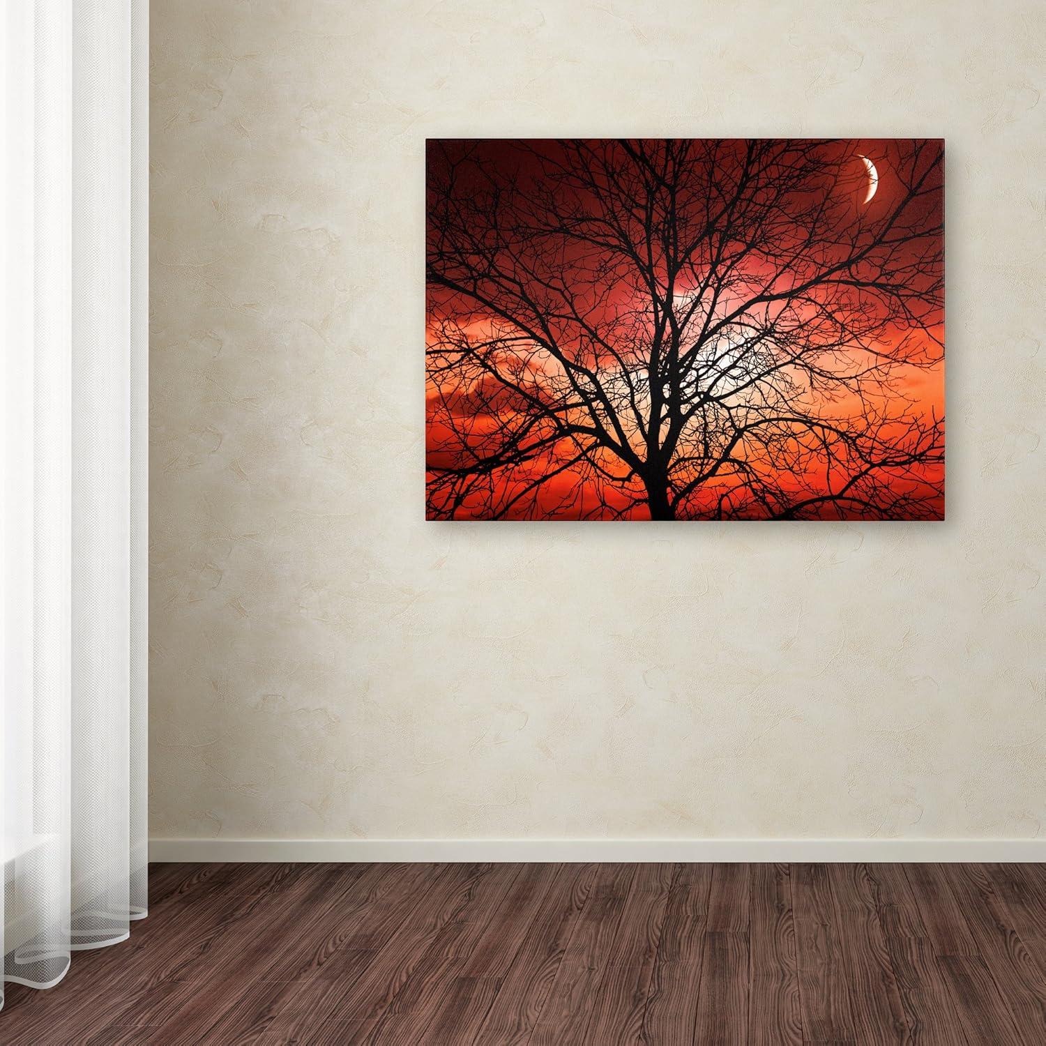 Trademark Fine Art "Big Bad Moon" Canvas Art by Philippe Sainte-Laudy