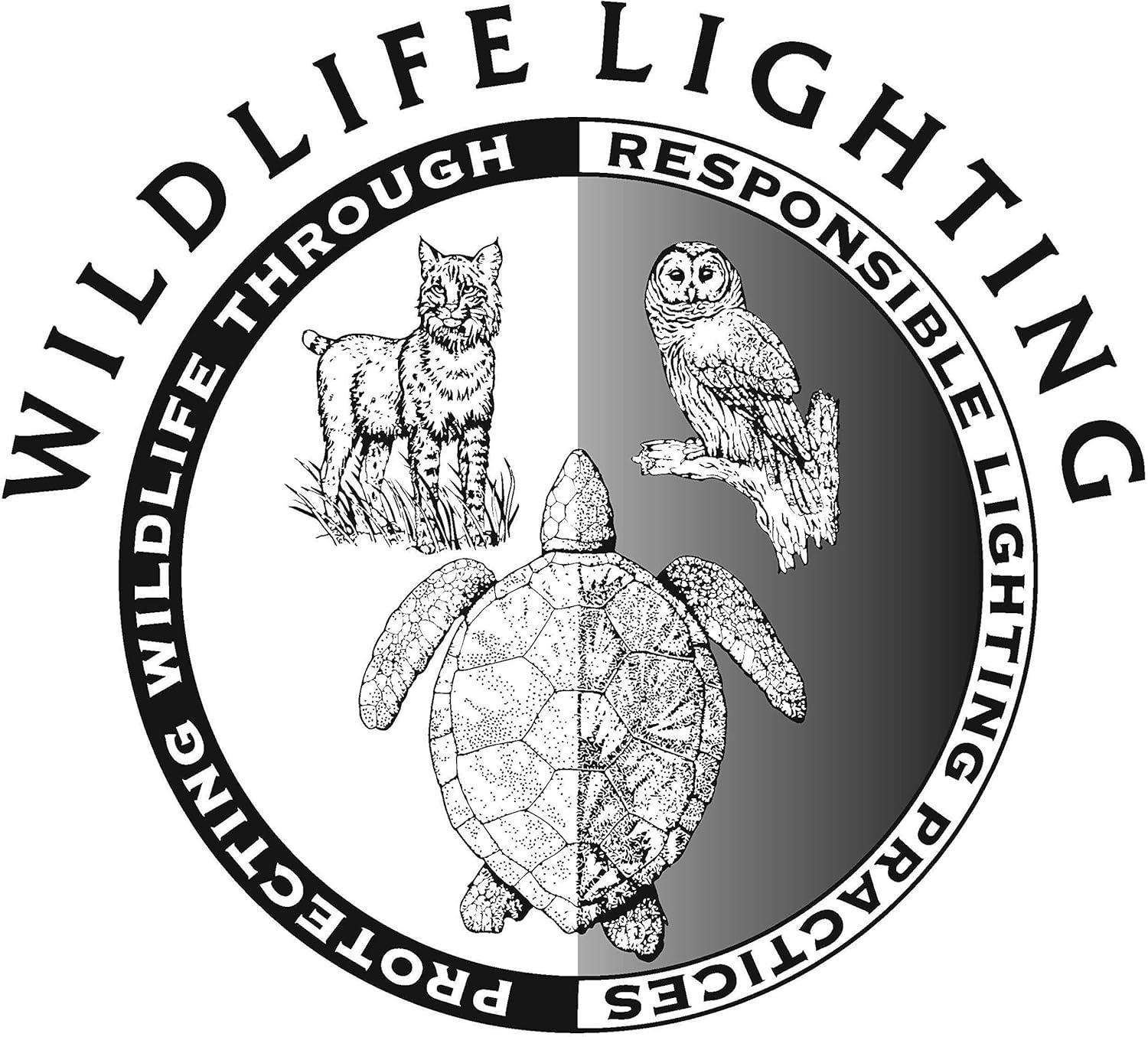 Orange Frosted LED Decorative Screw-in Light Bulb