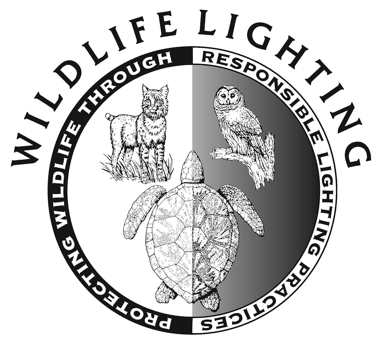 Orange Frosted LED Decorative Screw-in Light Bulb