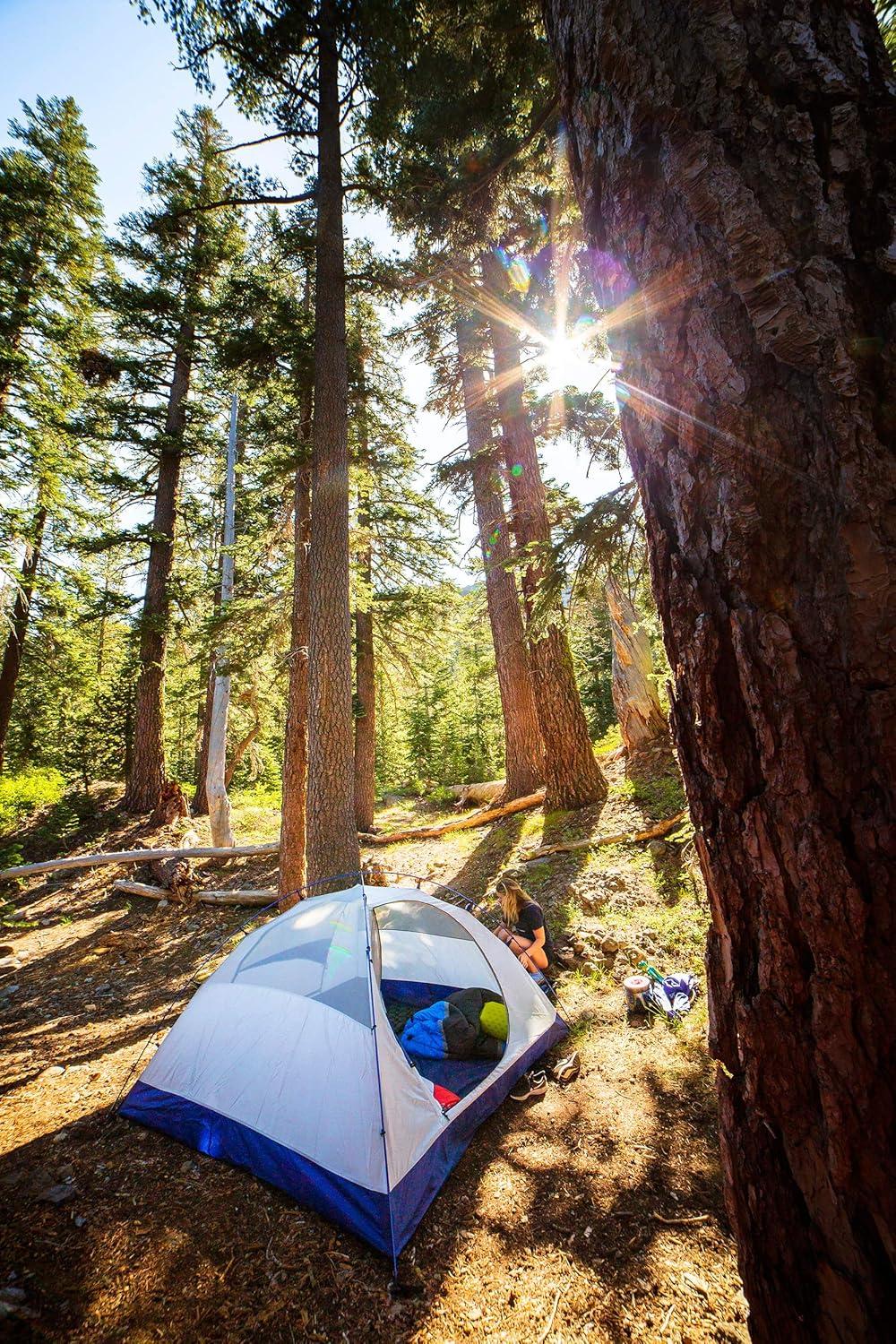 Gray and Blue 2-Person Dome Tent with Vestibule