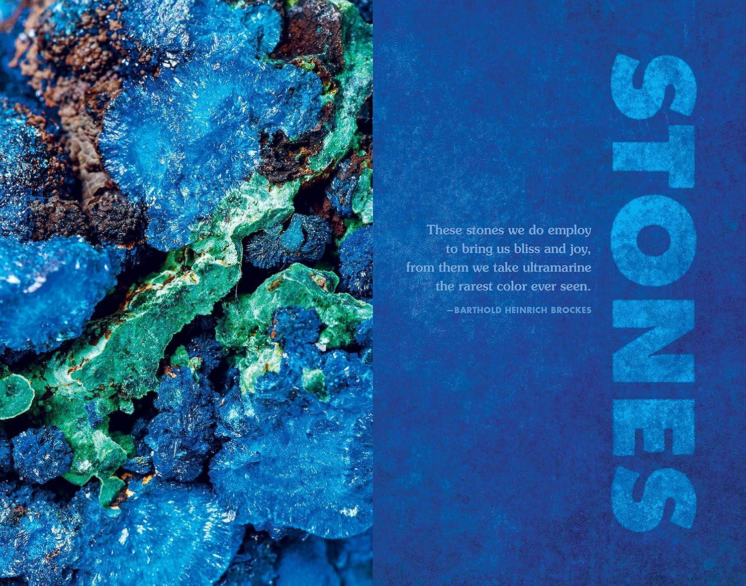 Blue: The Science and Secrets of Nature’s Rarest Color Paperback Book