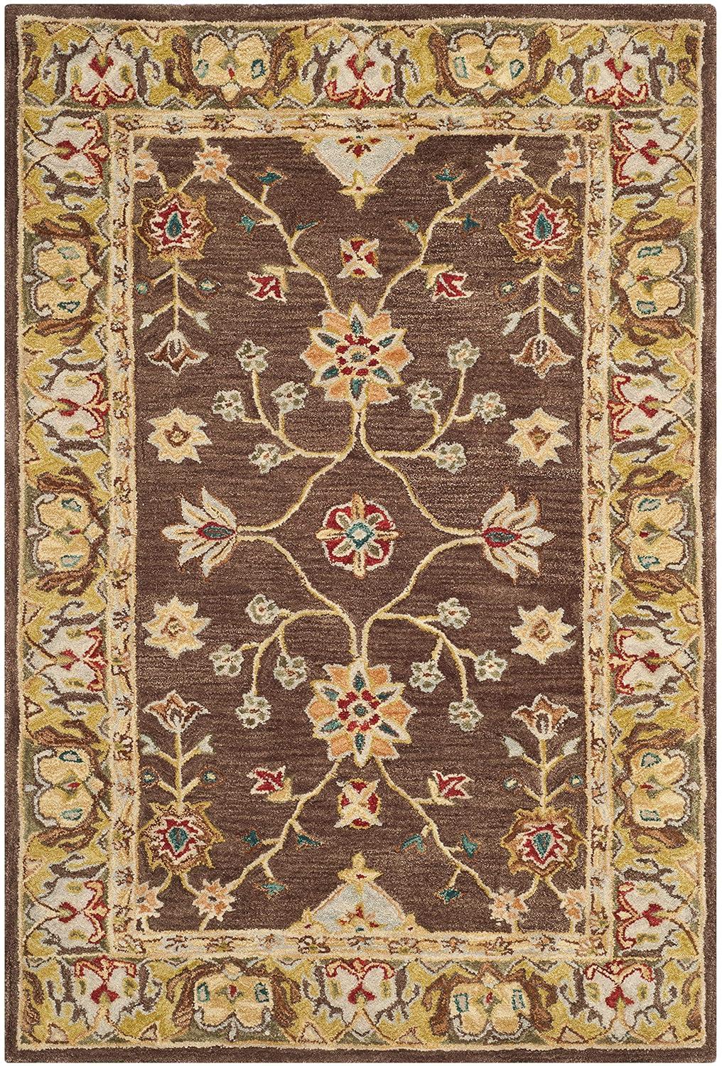 Anatolia AN562 Hand Tufted Indoor Area Rug - Brown/Gold - 4'x6' - Safavieh