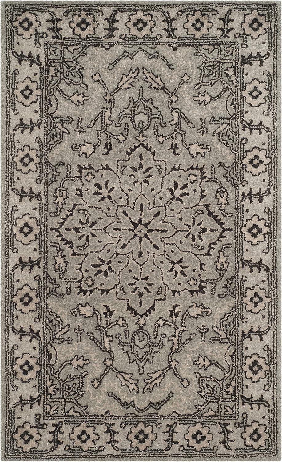 Antiquity AT58 Hand Tufted Area Rug  - Safavieh