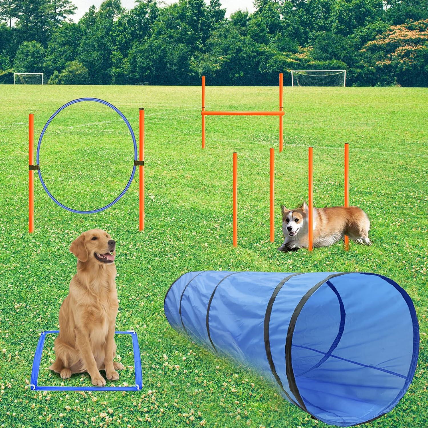 Blue Dog Agility Training Set with Tunnel and Hurdles