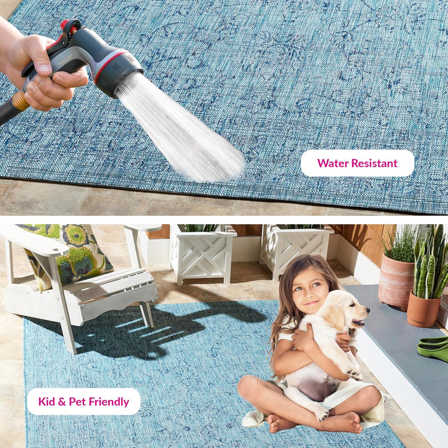 Courtyard Performance Oriental Rug