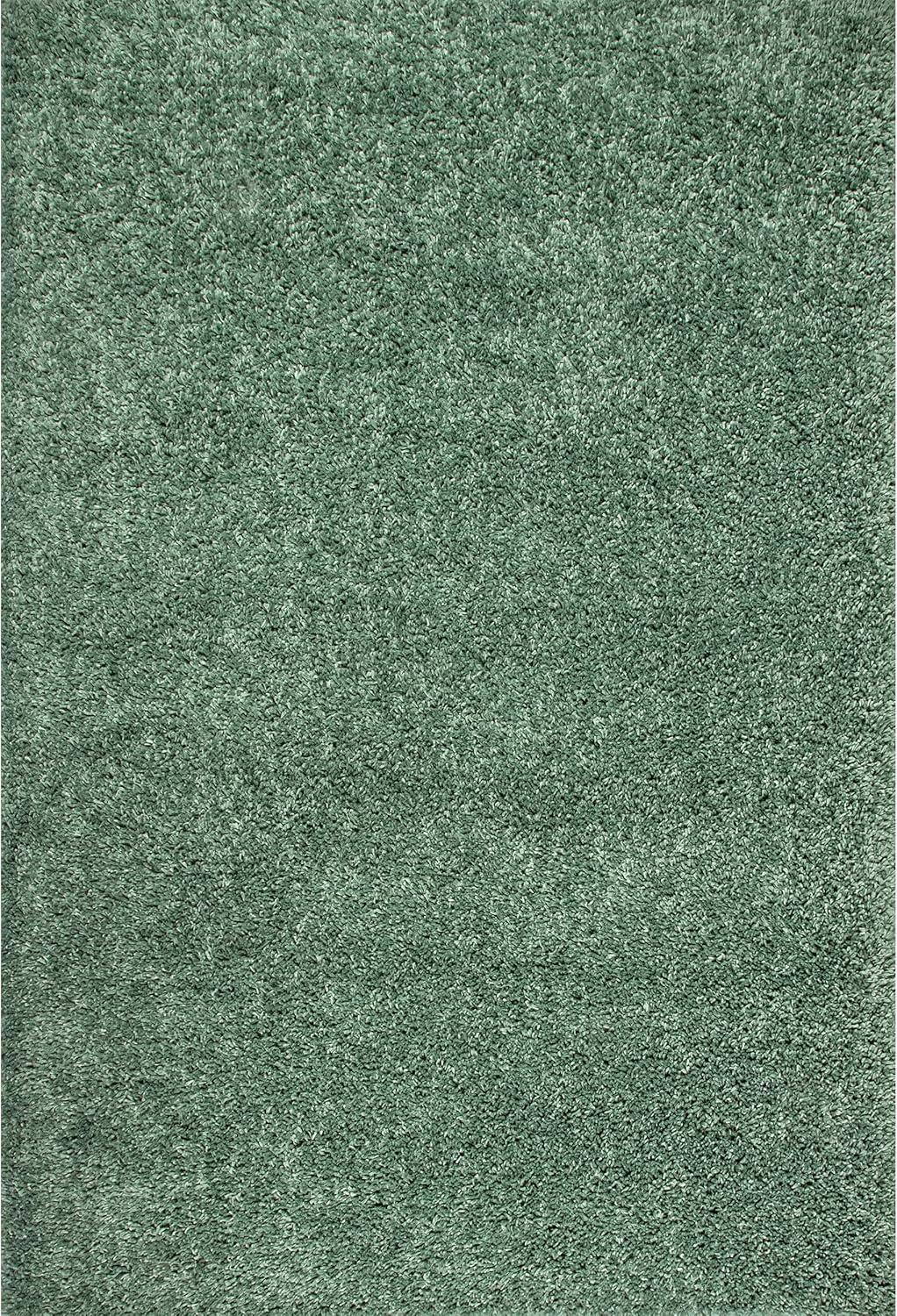 Nuloom Kara Solid Shag Indoor Area Rug