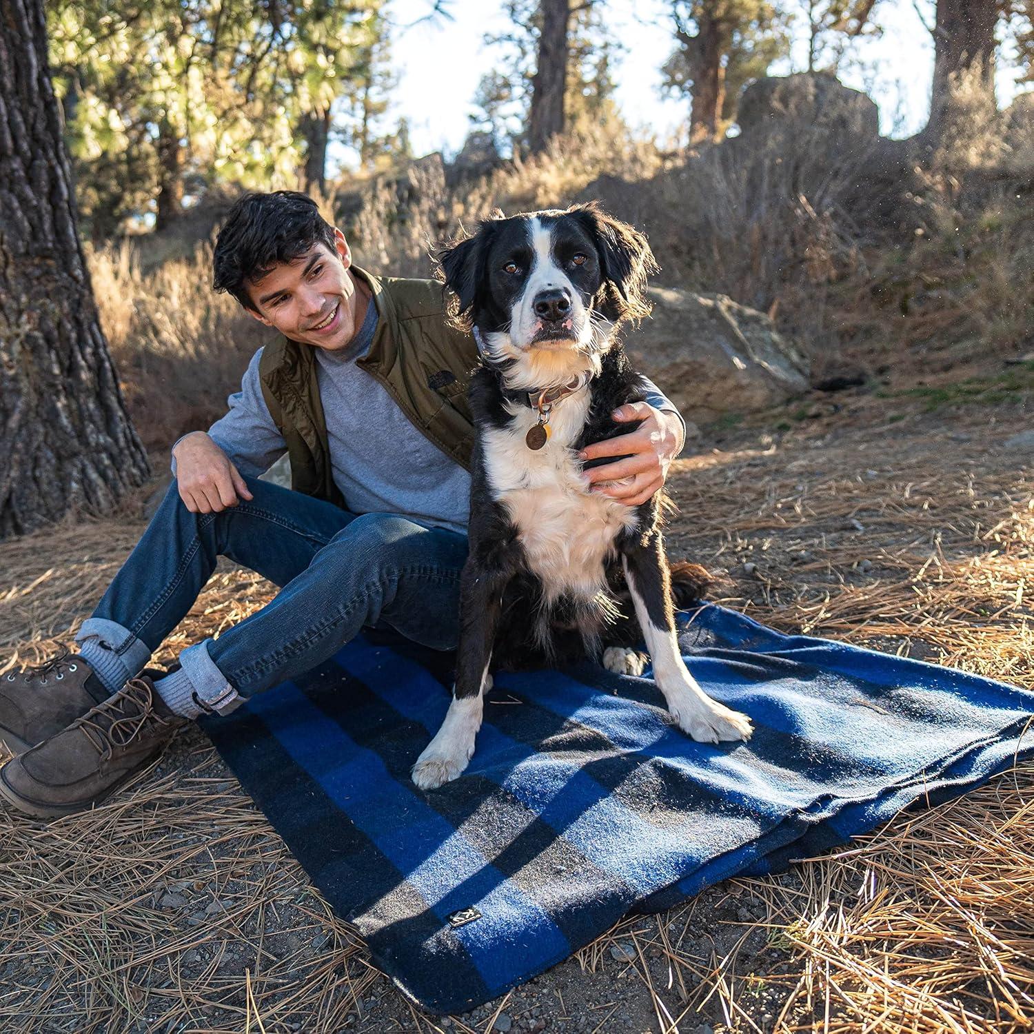 Arcturus Buffalo Plaid Wool Blanket, 64" x 88", Loom-Woven