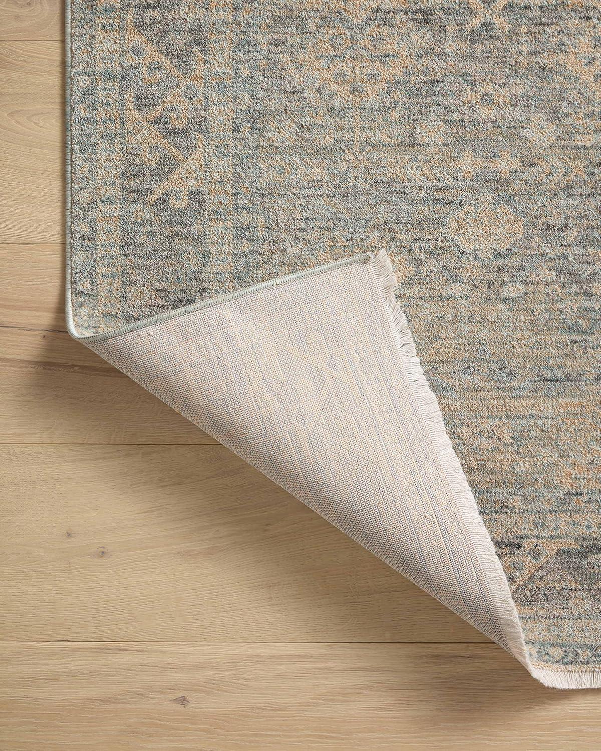 Angela Rose x Loloi Blake Sky / Beige Area Rug