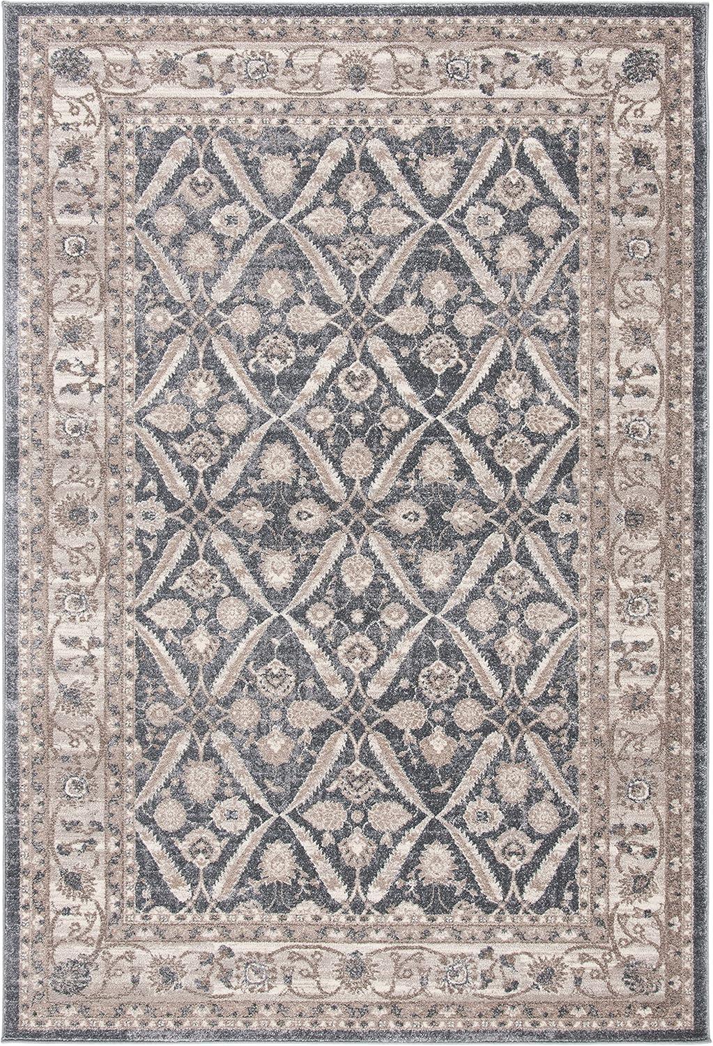 Sofia SOF378 Power Loomed Area Rug  - Safavieh