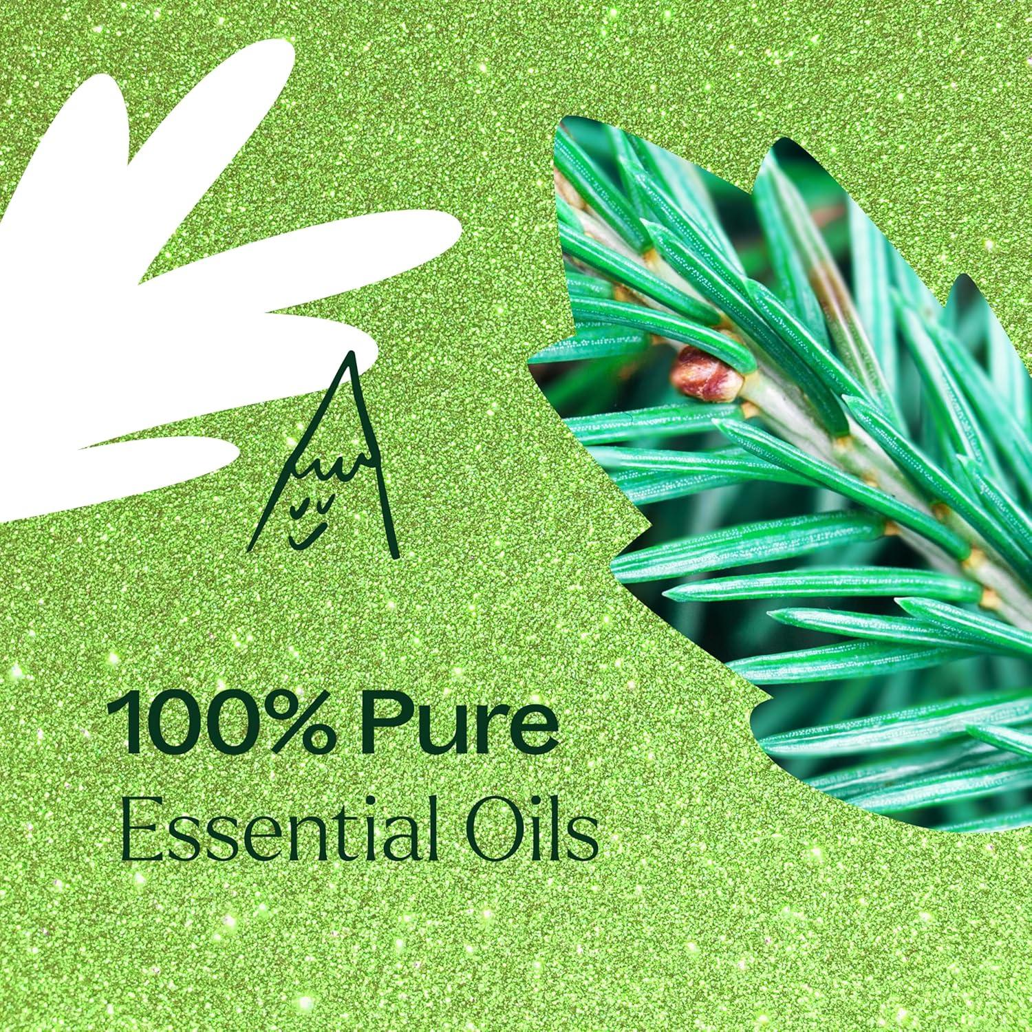 Plant Therapy Christmas Tree Holiday Essential Oil Blend 100% Pure, Undiluted, Natural, Therapeutic Grade 10 mL (1/3 oz)