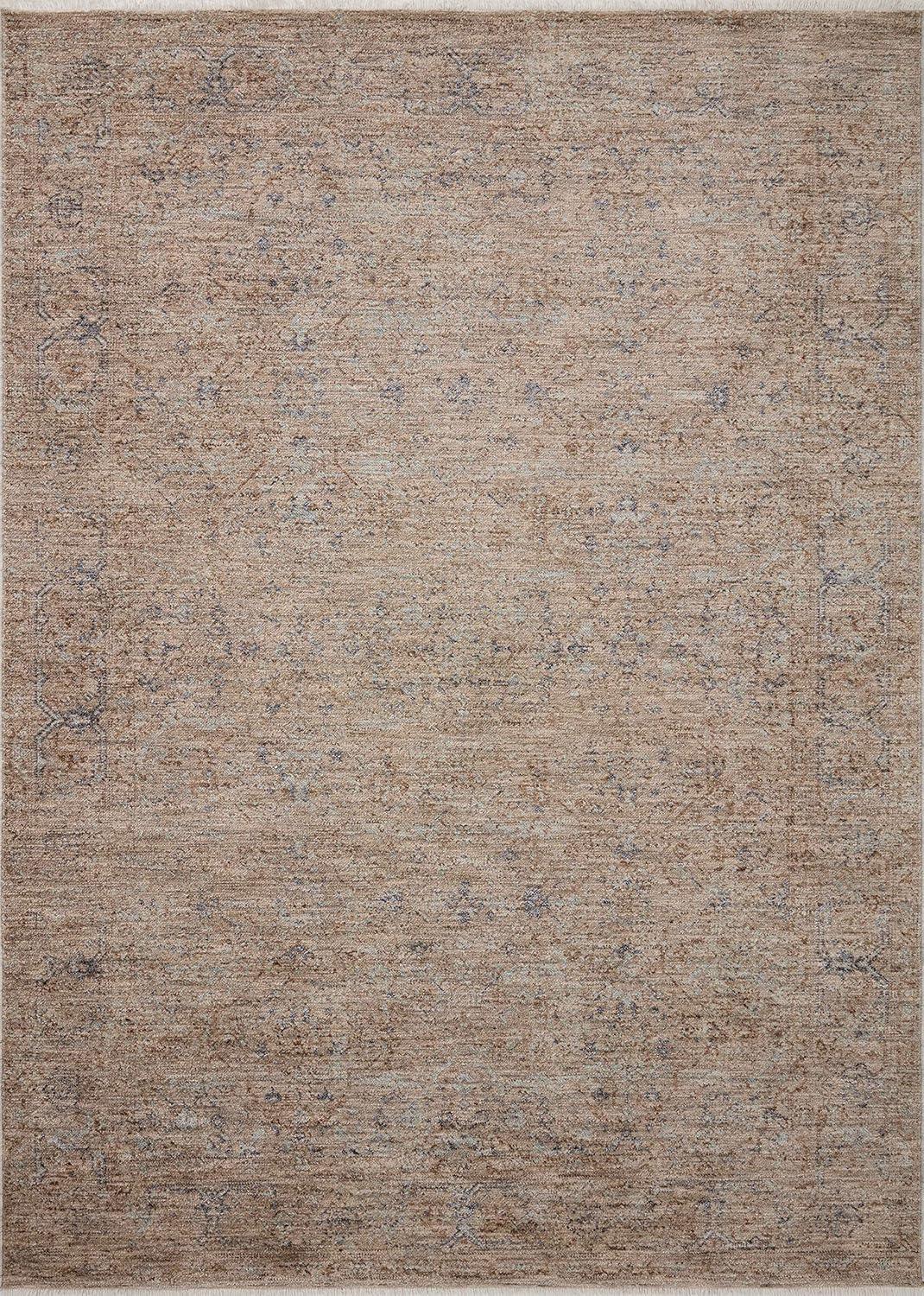 Angela Rose x Loloi Blake Taupe / Blue Area Rug