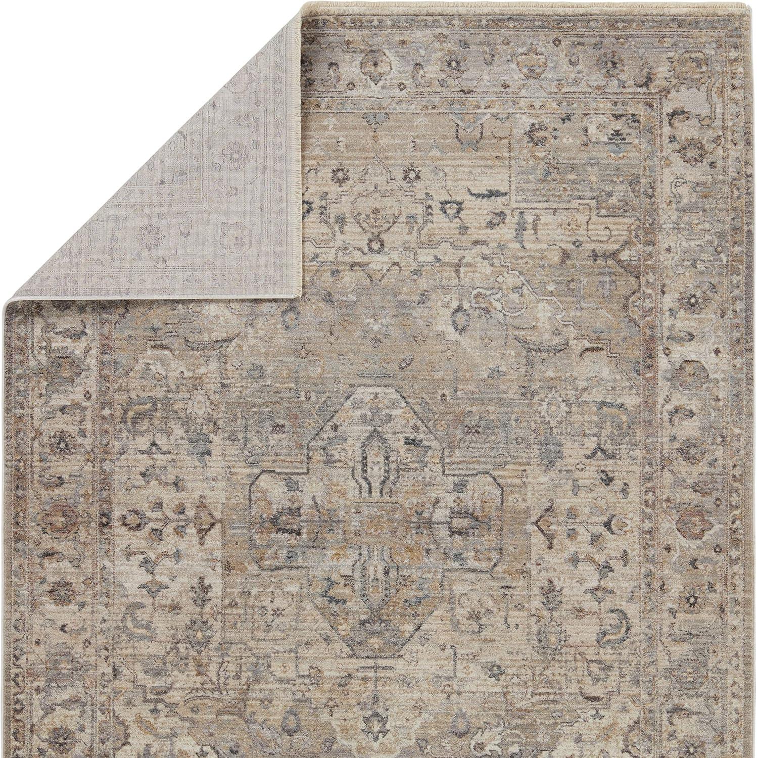 Jaipur Living Soft 4x6 Area Rug, Boho, Tan/Cream