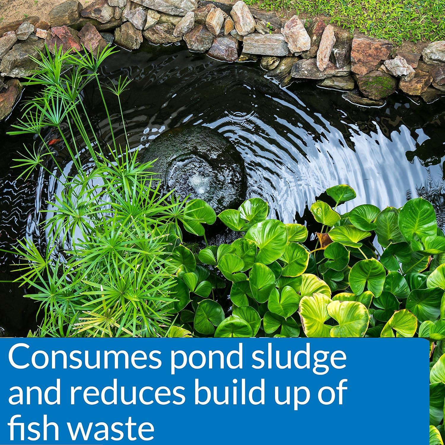 Mars Fishcare AP146 8 oz Jar Pond Care Pond Zyme Enzymatic Pond Cleaner with Barley