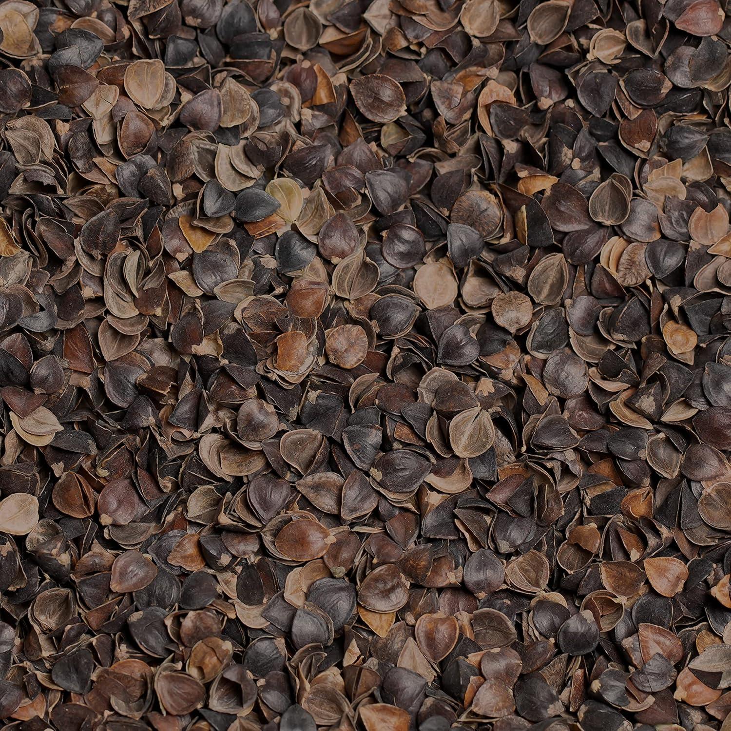 Organic Buckwheat Hulls Filler for Pillows, Yoga Zafus, and Cushions – Grown and Processed in USA, 1LB Pillow Filling