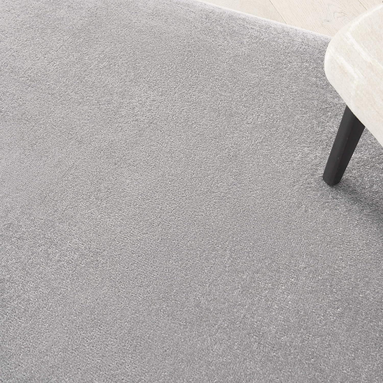 Nourison Essentials Easy Care Indoor Outdoor Area Rug - Silver Grey 4' x 6'