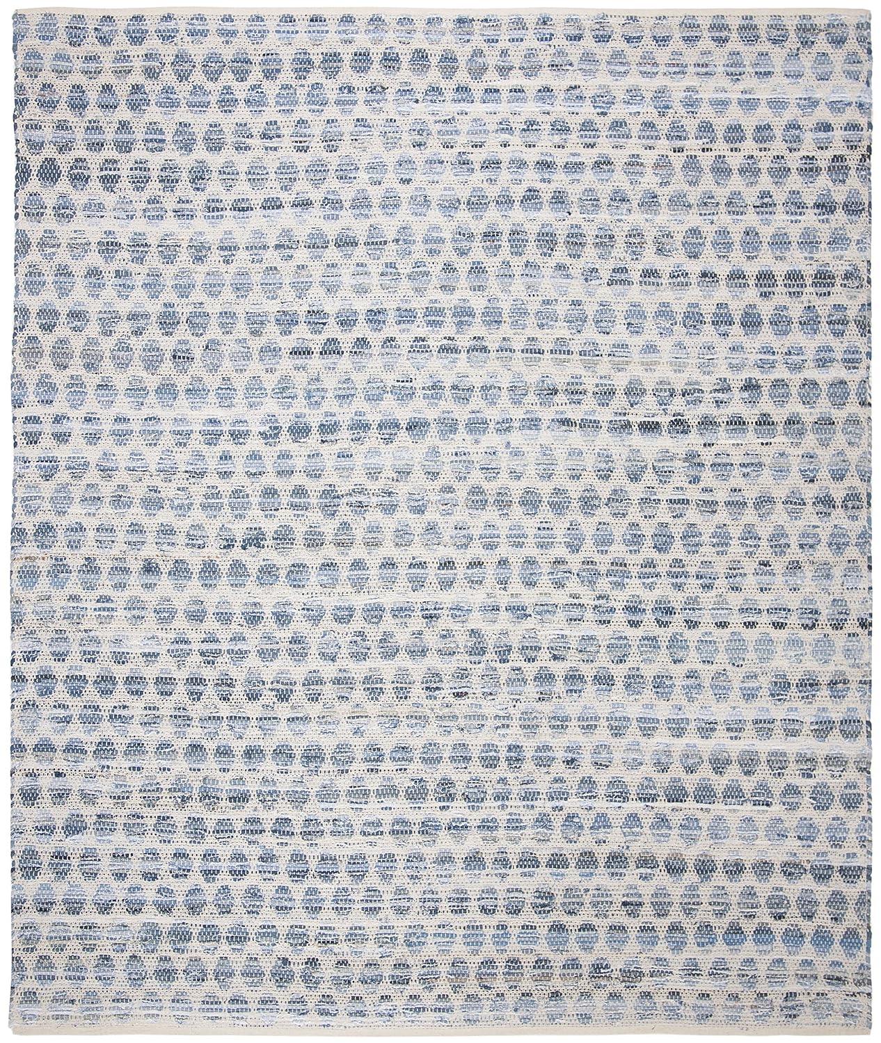 SAFAVIEH Area Rug 8x10 - Montauk Collection - Large - Blue, Handmade, Ideal for Living Room, Bedroom, Office, Dining Space (MTK422L)
