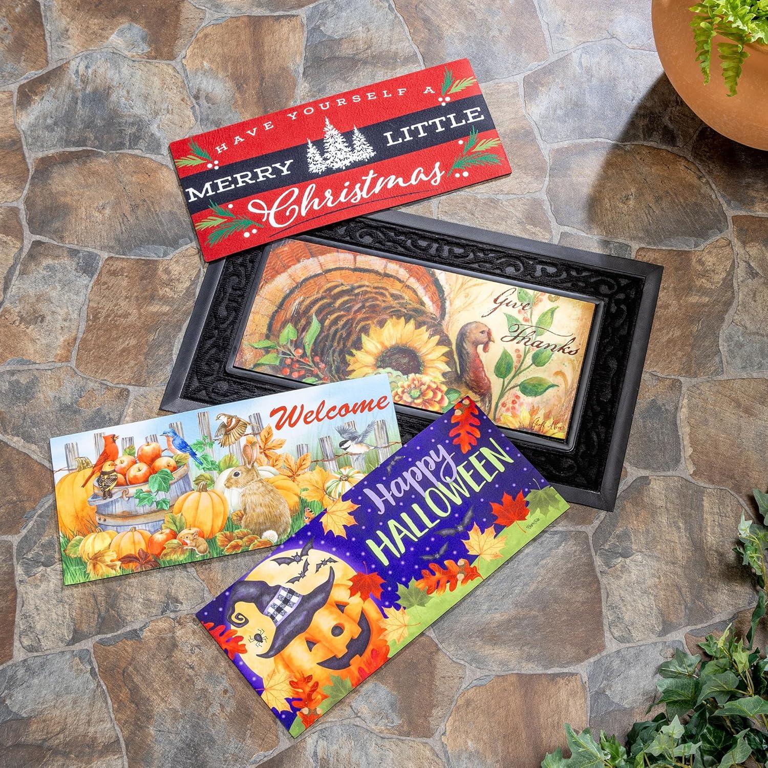 Evergreen Enterprises, Inc Sassafras Fall Holiday Set of 5 20"x10" Door Mats with Rubber Display Frame, Collection #2